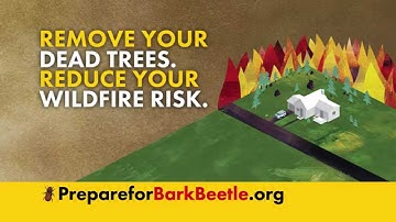 Bark Beetle "Remove Your Dead Trees" PSA