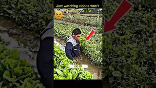 Just watching videos won't change your life. #hustle #Shorts #Motivation #Hustle