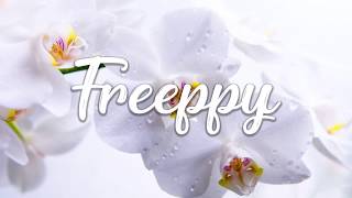 No Copyright Music Kevin Macleod - Calmant