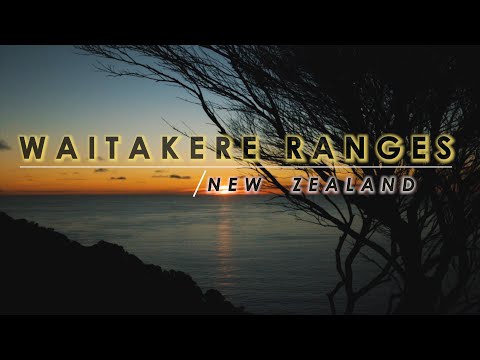 4K Waitakere Ranges | New Zealand