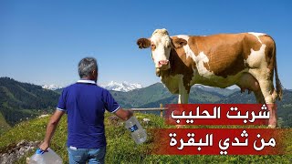 حياة القرى في تركيا|الأكل في الريف التركي|طرابزون|الشمال التركي