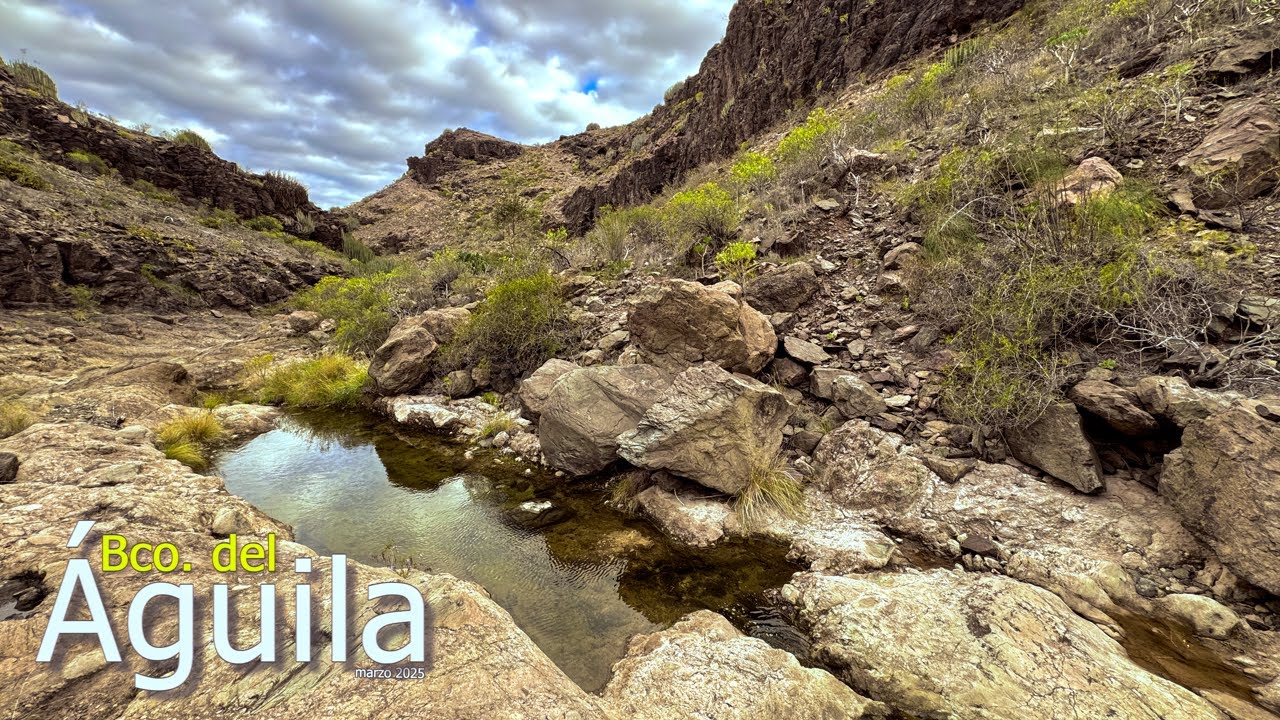 🦅BARRANCO del ÁGUILA🦅 (marzo 2025)