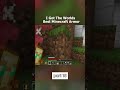 I Got The Worlds Best Minecraft Armor | Part 15 #fyp #viral #minecraft #bestarmor #minecraftarmor
