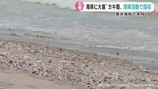津波で更に増えた海水浴場のカキ殻 宮城県が地元と協力し清掃へ 石巻市