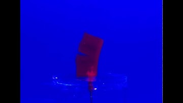 Unit-segment hydraulic hydrogel actuator