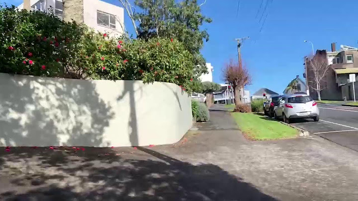 New Zealand Kiwi IRL | Walking Around Auckland City |