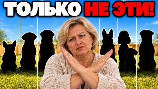 17 Пород Собак, Которых Я НИКОГДА Не Завёл Бы — И Вот Почему