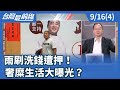假球案與政治