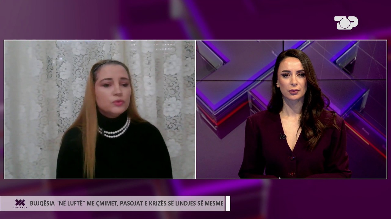 ‘Nuk kemi asnjë kokërr gruri rezervë’ eksperti; Shqipëria duhet të krijojë rezerva strategjike