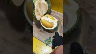 Oren bulat durian duri hitam #duriangungun #durian