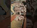 Automated Industrial Firewood Cleaning and Sorting Technology #technology