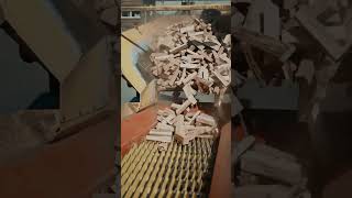 Automated Industrial Firewood Cleaning and Sorting Technology #technology
