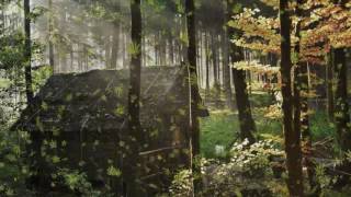 storm effect in after effects