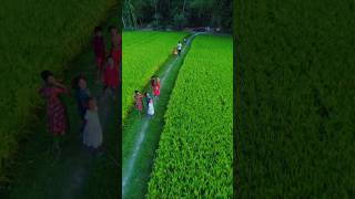 Cinematic Drone Shot