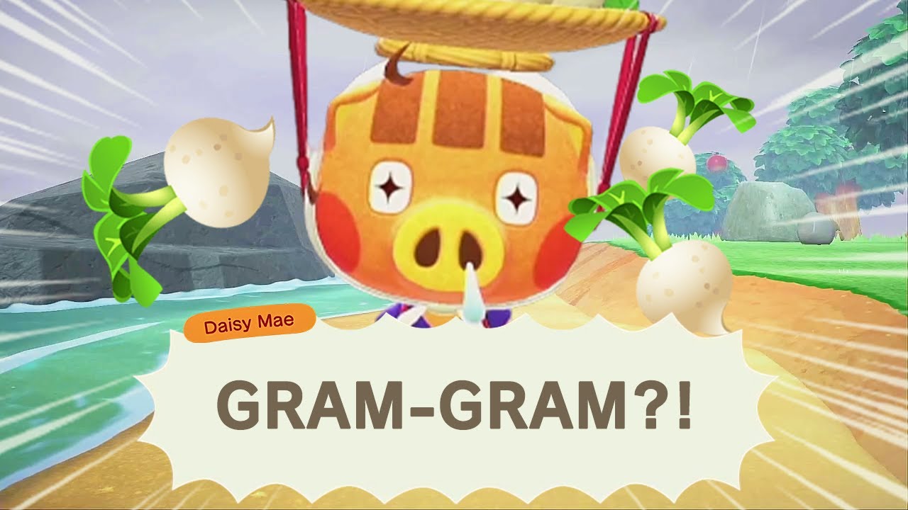 If Daisy Mae Doesn't Leave Your Island Until 1159 AM on Sunday YouTube