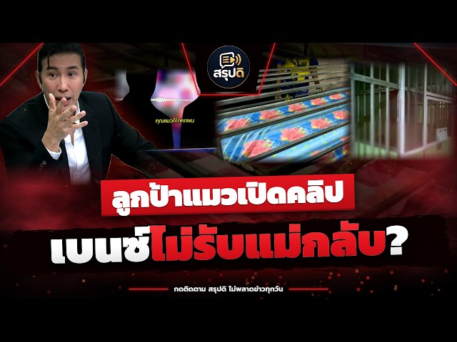 ลูกป้าแมวเปิดคลิป! เบนซ์ไม่รับแม่กลับ · คนขับรับจ้าง 15,000 มัดเชือก · 3 คำให้การไม่ตรงกัน ใครโกหก?