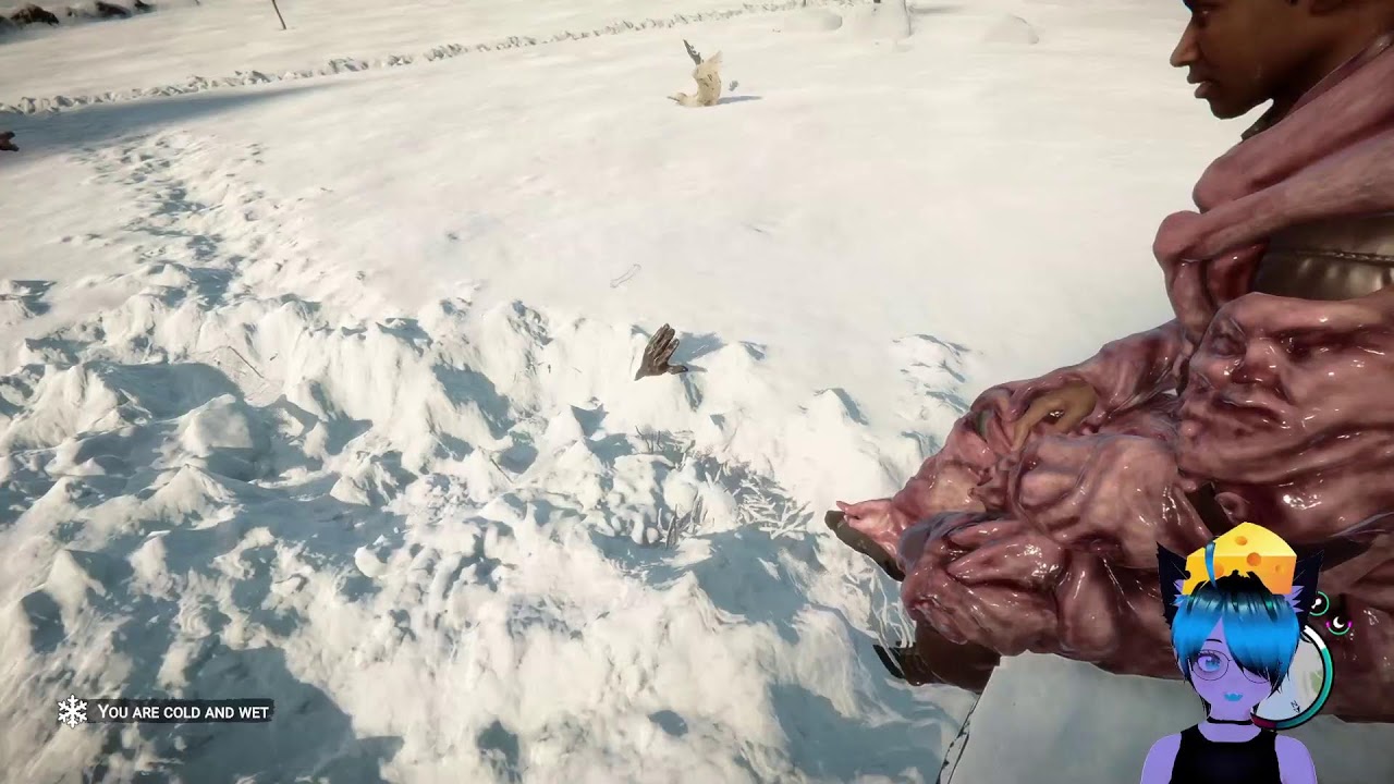 Finally getting our feet into the ground!!! | Sons Of The Forest #6