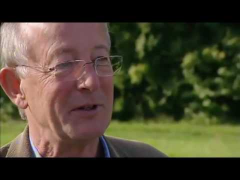 Nicholas Humphrey Interview (4/4) - Richard Dawkins