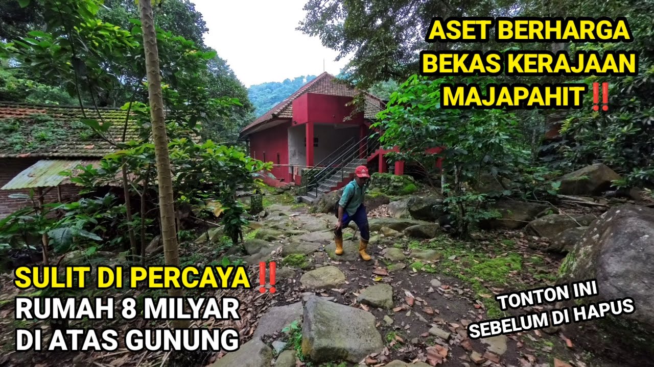SULIT DI PERCAYA ADA RUMAH MEWAH 8 MILYAR DI DALAM HUTAN