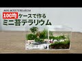 100均のケースで作るミニ苔テラリウム #2　How to make a mini moss terrarium