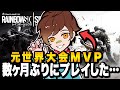 【R6S】元世界大会MVP選手が数か月ぶりにプレイした結果...【レインボーシックスシージ】