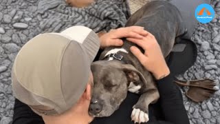 Chained Dog Tastes Freedom For The First Time Only 23