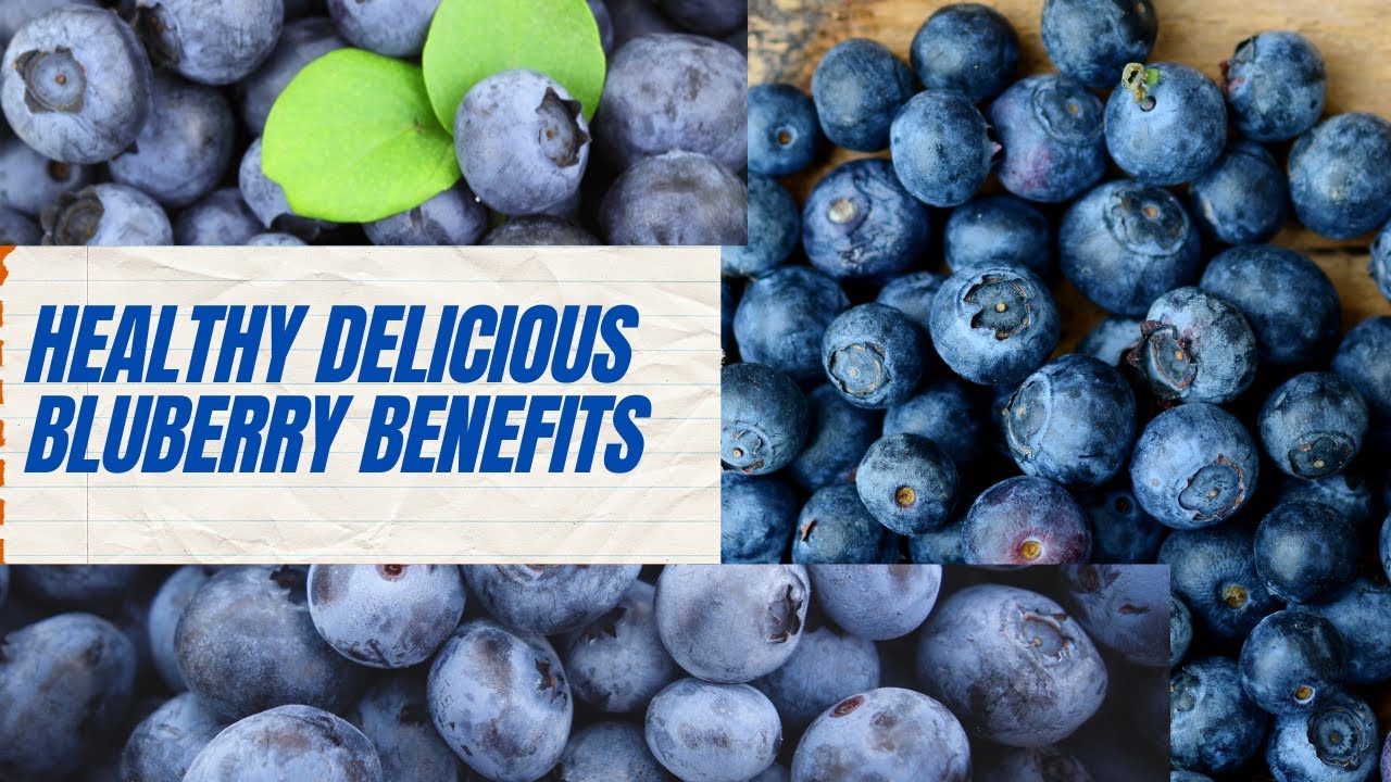 The Many Health Benefits of Blueberries Why You Should Eat Them Every