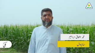 Muhammad Ashfaq Ibrahim | Sahiwal | Maize Crop | Sarsabz Fertilizers