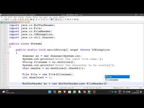 Write a program to count the number of times a character appears in File. #java #wipro #wiproprp