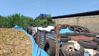 How to make surface maize silage.  STEP FOUR
