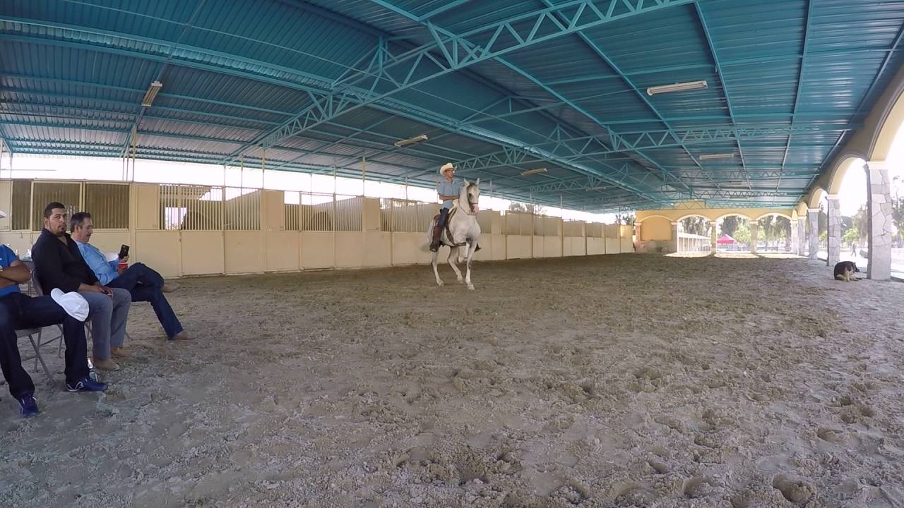 Zarco. Placeres del oro ranch - YouTube