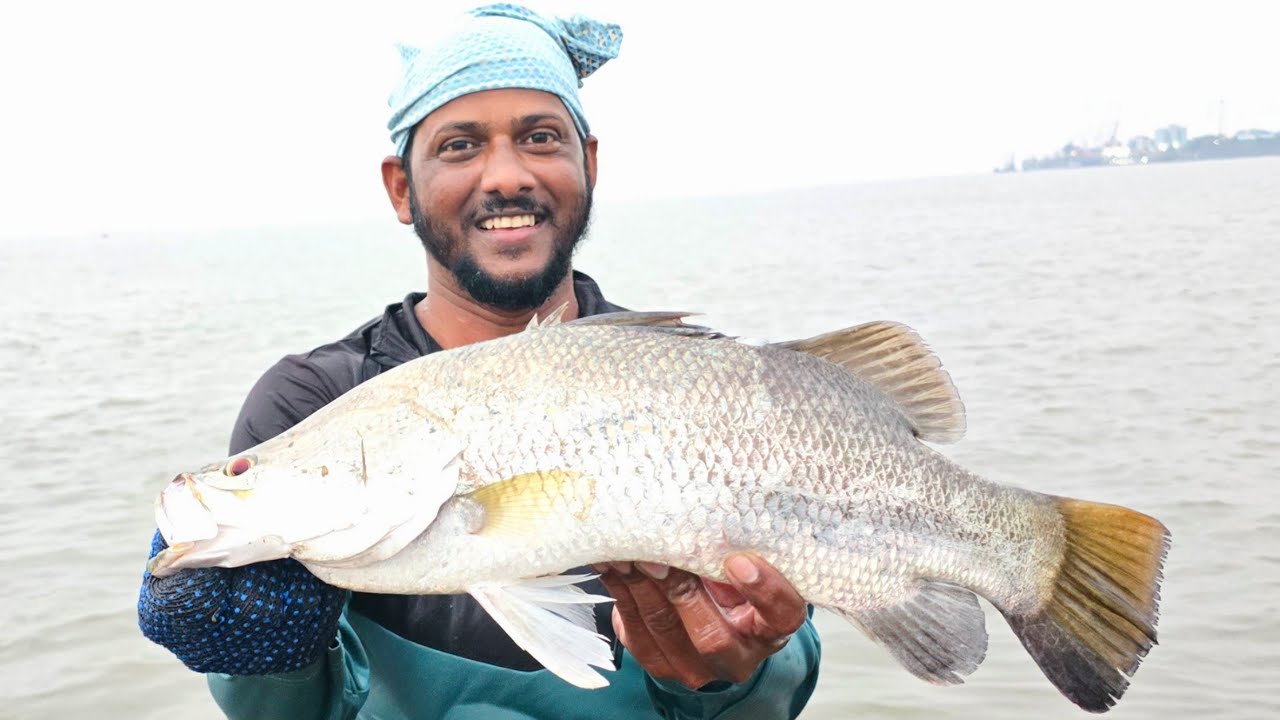 पागाने पकडला मोठा जितारा आणि येखरू, Biggest Barramundi & Monster Grouper Fishing Dangerous | Castnet