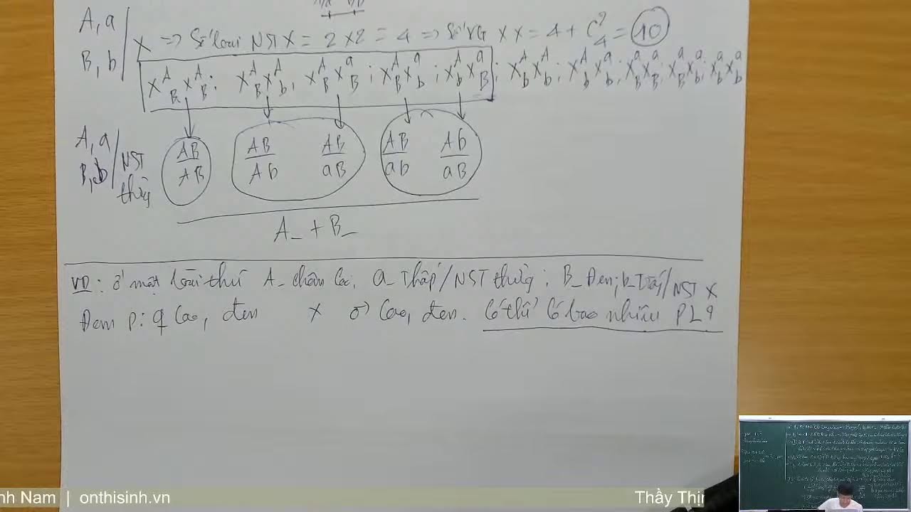 12S1-VIP: LIÊN KẾT GEN TRÊN NHIỄM SẮC THỂ GIỚI TÍNH