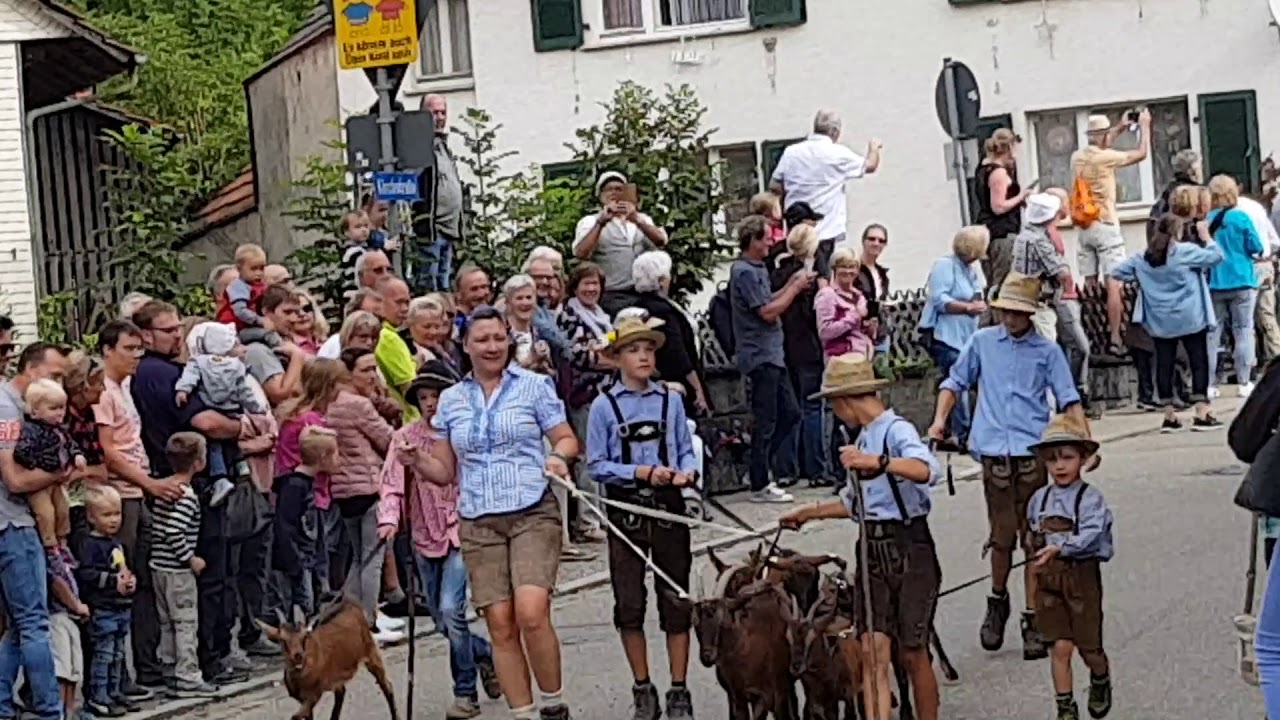Almabtrieb Simonswald 2019