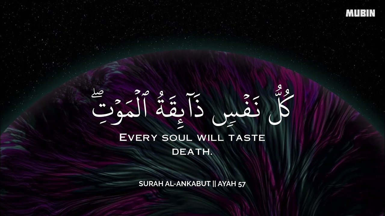 رح سمعك وقلبك بالقرآن❤️🎧 وأستمع لتلاوة هادئه بصوت محمد هشام | راحة نفسية😌 | Mohamed Hesham