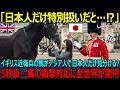 【海外の反応】「なぜ日本人だけ特別扱いなんだ！？」イギリス近衛兵の馬が日本人と中国人を完璧に見極めていることが判明！？明らかに違う対応に世界が驚愕！！