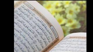 Surat Ash-Shams repeated 10 times by Abu Bakr Ash-Shatri