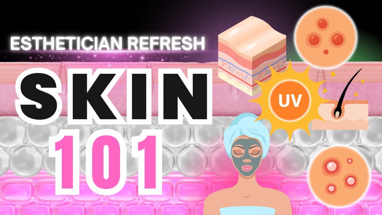 Skin 101: Understanding The Skin & it’s Layers