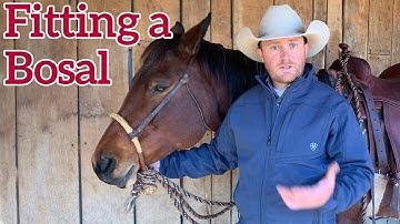 Proper Fit of a Bosal