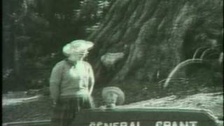 General Grant, the Sequoia Tree - 8mm Home Movie 1962