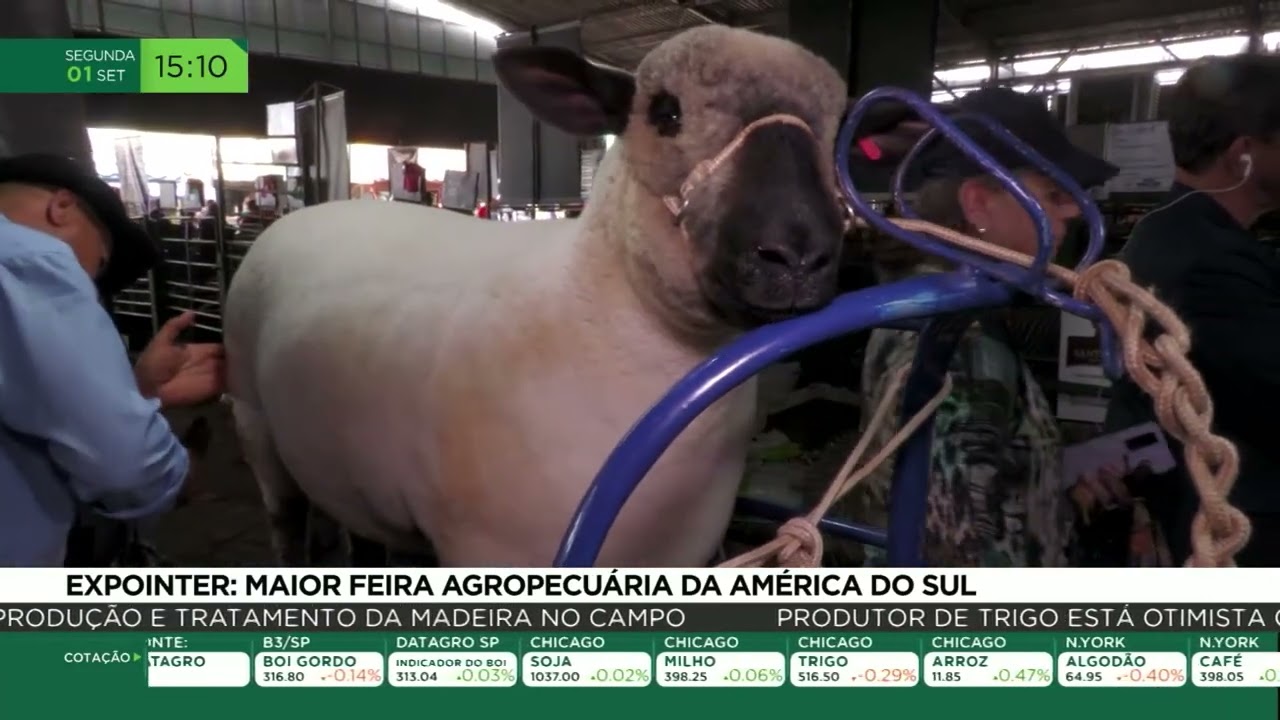 Expointer: maior feira agropecuária da América do Sul