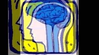 Computer Literacy Multimedia Presentation