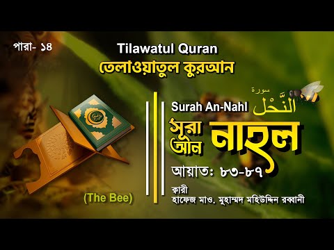 অন্তর শীতল করা তেলাওয়াত | Surah Nahl | সূরা নাহল আয়াত ৮৩-৮৭ | তেলাওয়াতুল কুরআন | ATR QURAN TELAWAT