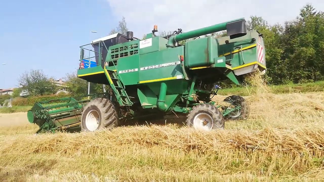 Trebbiatura grano 2023 nelle Langhe con Arbos 200 AL