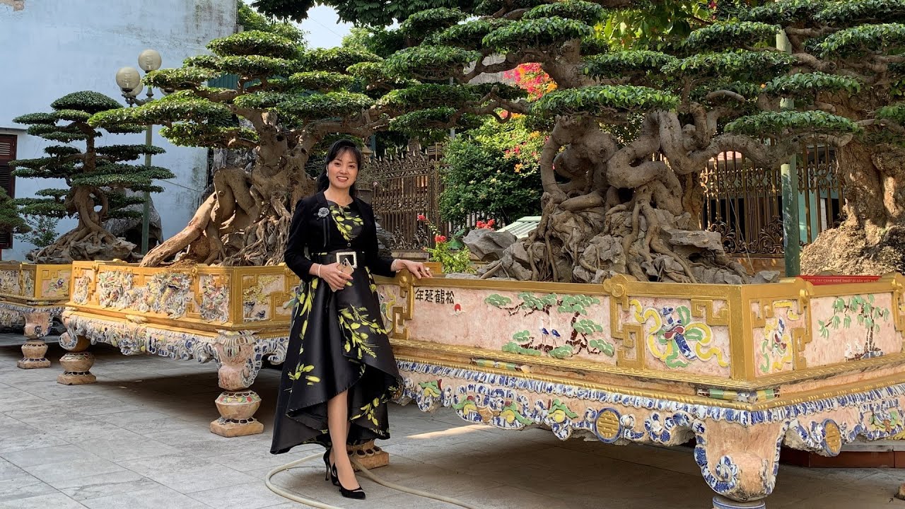 [VD 546] Жена господина Тоан До, сестра Ту - Вьет Три - делят три национальных сокровища.