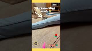 Little Fighter Èo लल