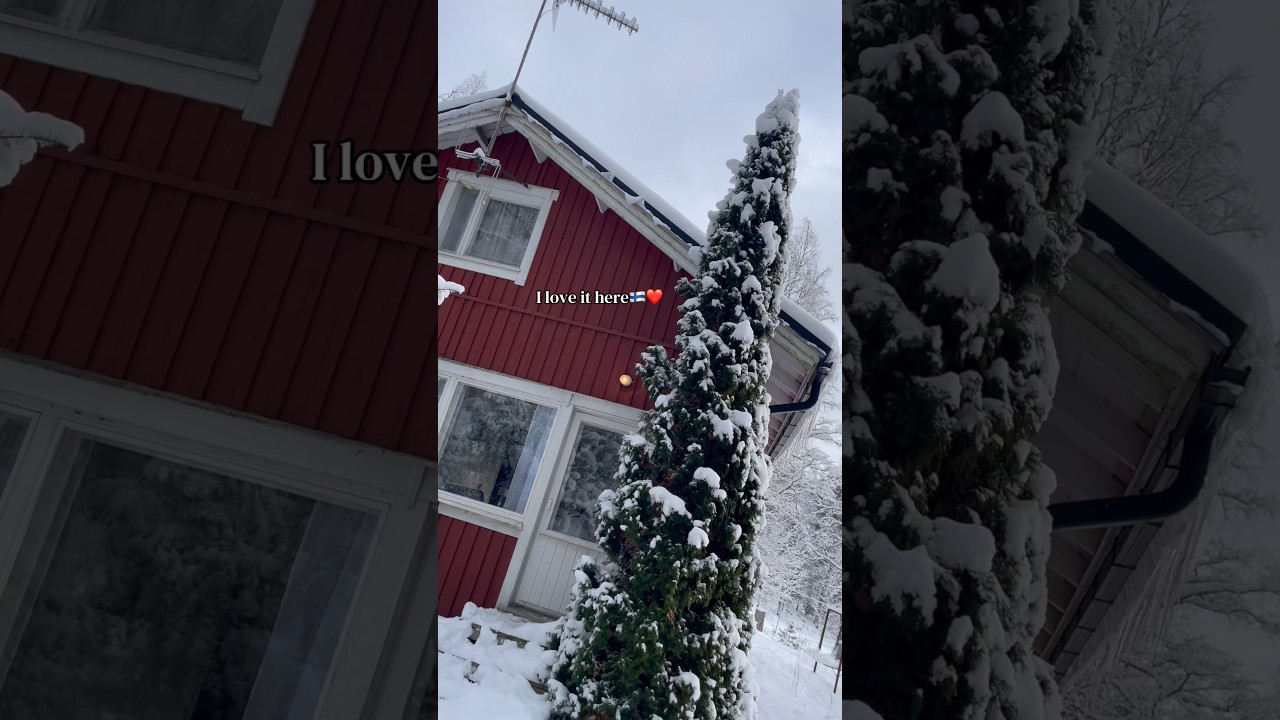 🇫🇮New house in Finland🥰