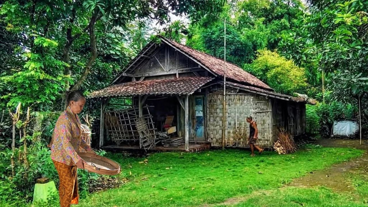 KEHIDUPAN KAMPUNG TERPENCIL PEDALAMAN HUTAN ALAS ROBAN BATANG JAWA TENGAH
