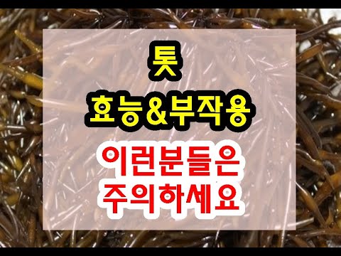 톳 효능과 부작용 잘 알고 드셔야해요~