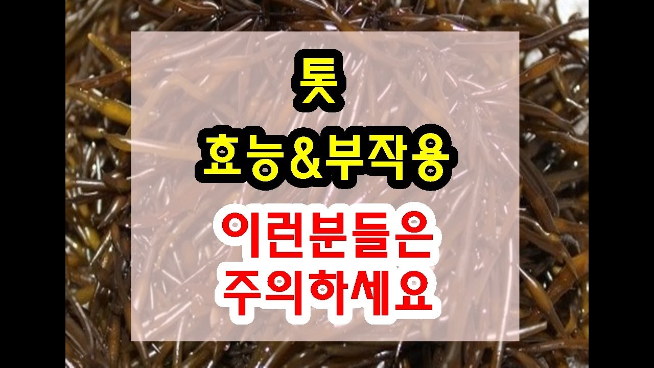 톳 효능과 부작용 잘 알고 드셔야해요~